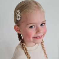 Alligatorspeldjes Madeliefjes Mix